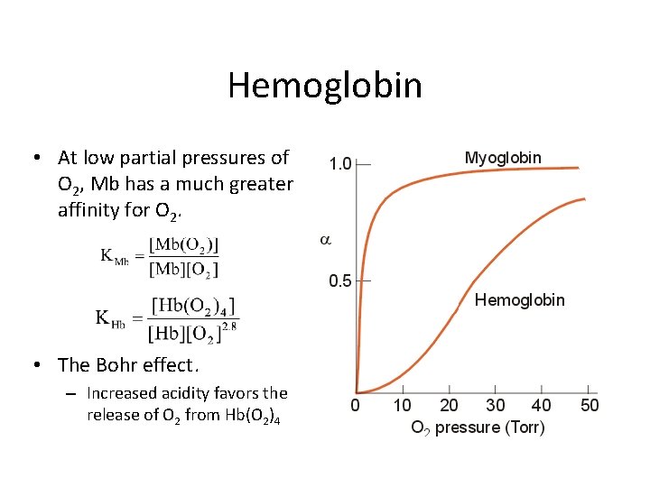 Hemoglobin • At low partial pressures of O 2, Mb has a much greater