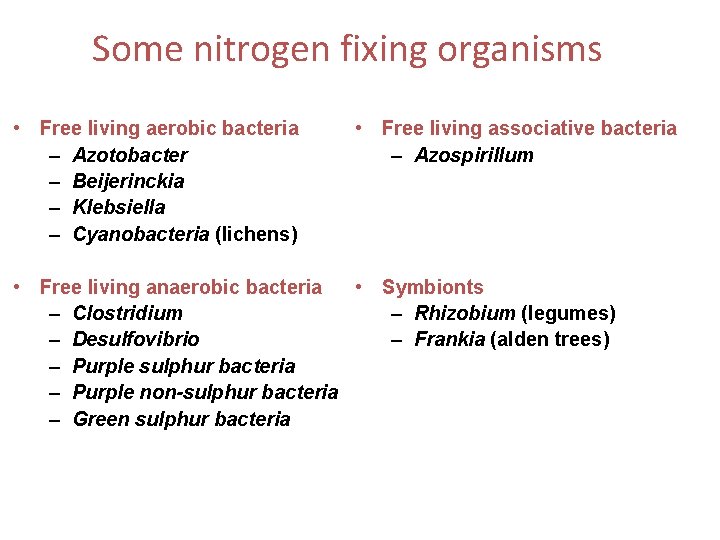 Some nitrogen fixing organisms • Free living aerobic bacteria – Azotobacter – Beijerinckia –