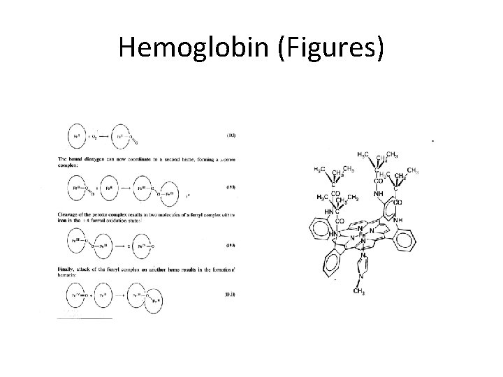 Hemoglobin (Figures) 