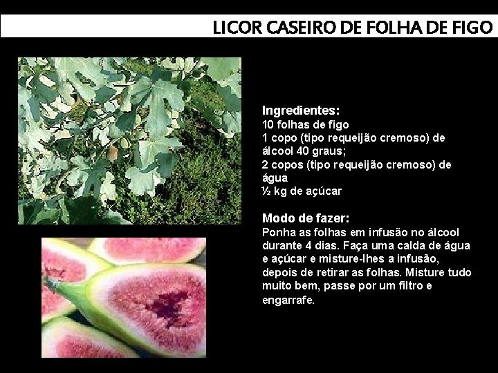 LICOR CASEIRO DE FOLHA DE FIGO Ingredientes: 10 folhas de figo 1 copo (tipo