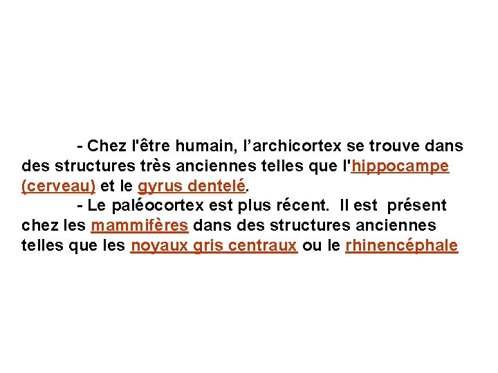 - Chez l'être humain, l’archicortex se trouve dans des structures très anciennes telles