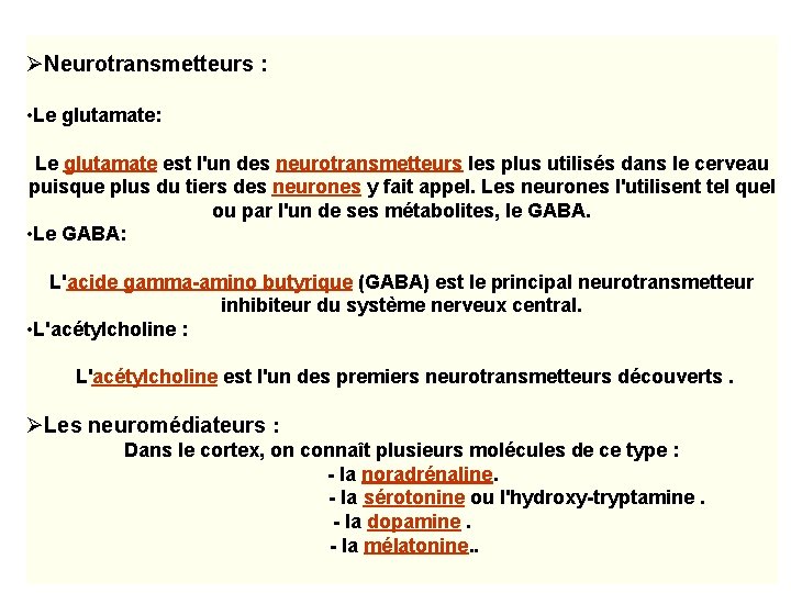 ØNeurotransmetteurs : • Le glutamate: Le glutamate est l'un des neurotransmetteurs les plus utilisés