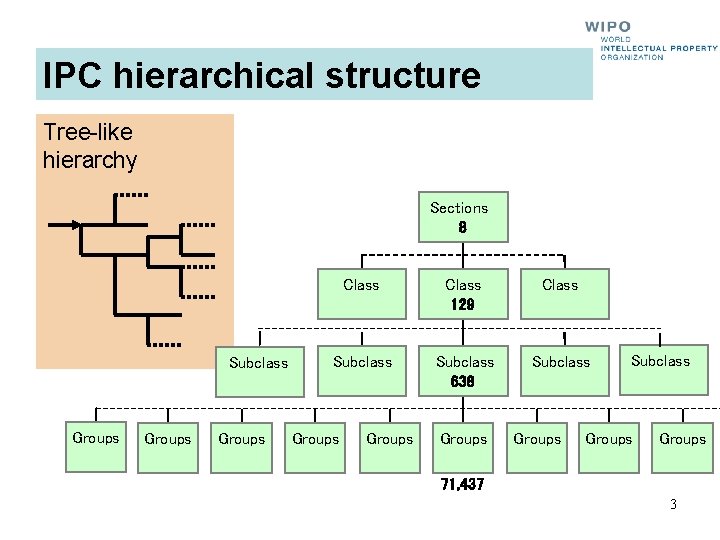 IPC hierarchical structure Tree-like hierarchy Sections 8 Subclass Groups Class 129 Class Subclass 638