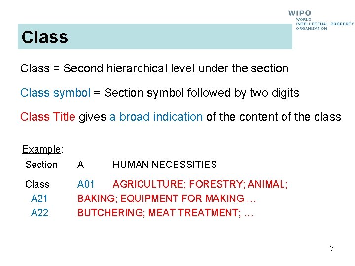 Class = Second hierarchical level under the section Class symbol = Section symbol followed