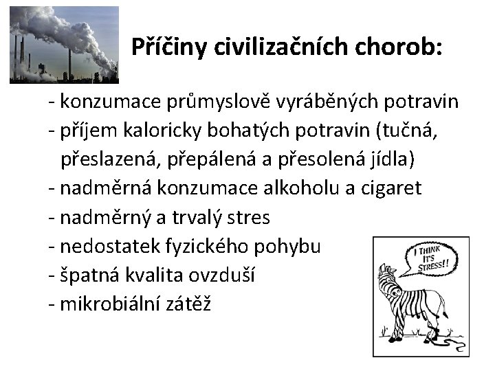 Příčiny civilizačních chorob: - konzumace průmyslově vyráběných potravin - příjem kaloricky bohatých potravin (tučná,
