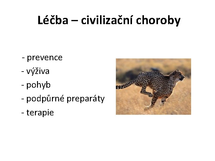 Léčba – civilizační choroby - prevence - výživa - pohyb - podpůrné preparáty -