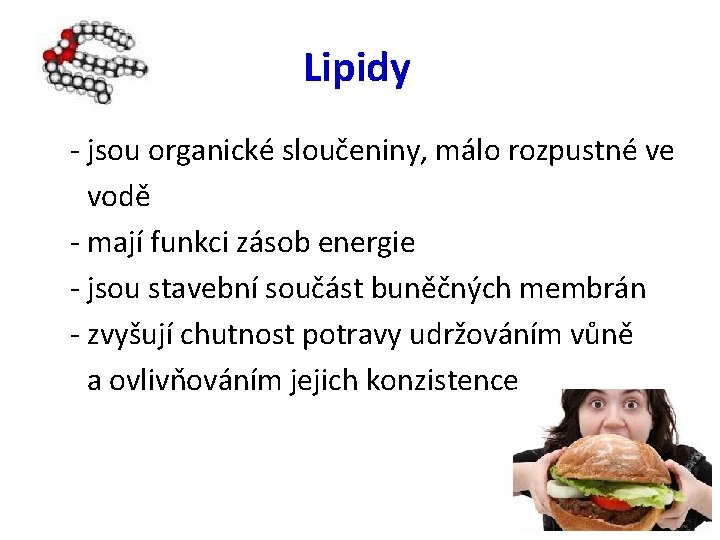 Lipidy - jsou organické sloučeniny, málo rozpustné ve vodě - mají funkci zásob energie