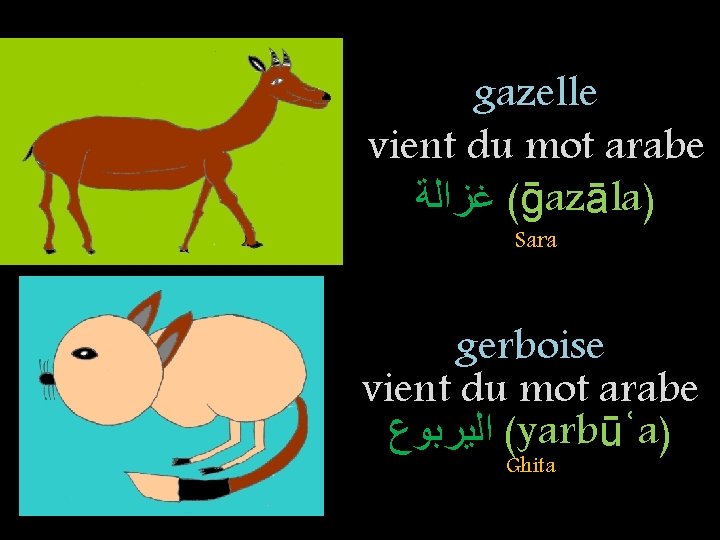 gazelle vient du mot arabe ( ﻏﺰﺍﻟﺔ ḡazāla) Sara gerboise vient du mot arabe