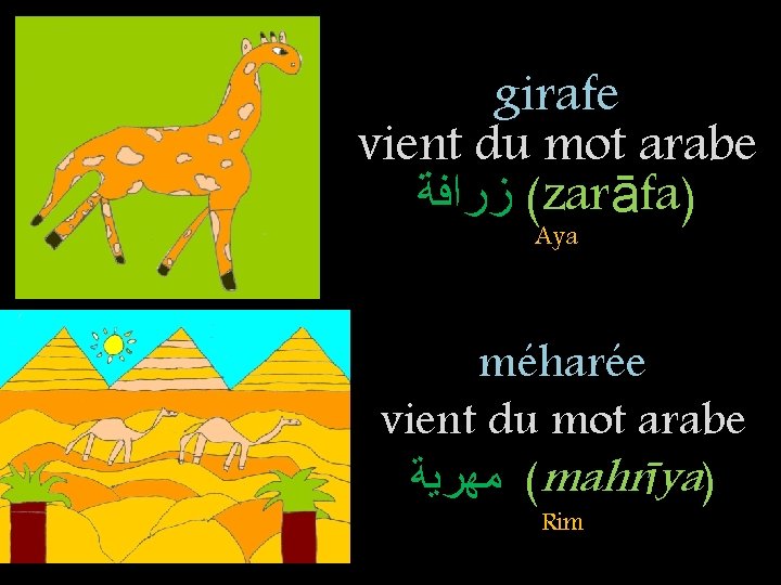 girafe vient du mot arabe ( ﺯﺭﺍﻓﺔ zarāfa) Aya méharée vient du mot arabe