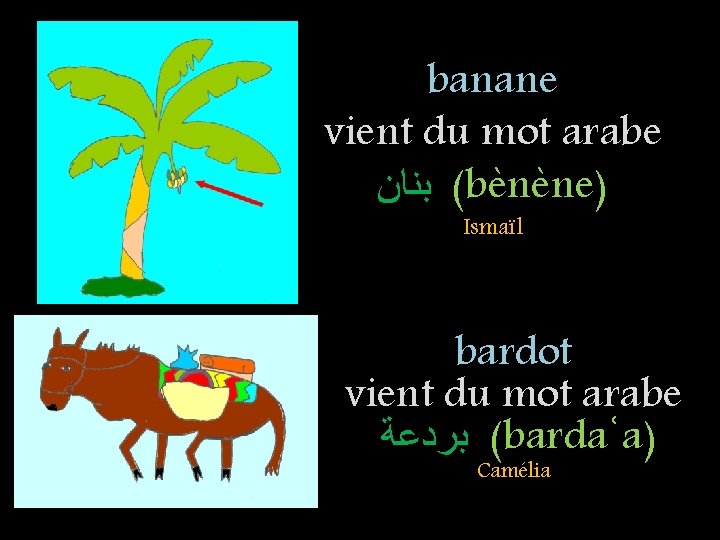 banane vient du mot arabe ( ﺑﻨﺎﻥ bènène) Ismaïl bardot vient du mot arabe