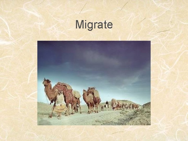 Migrate 