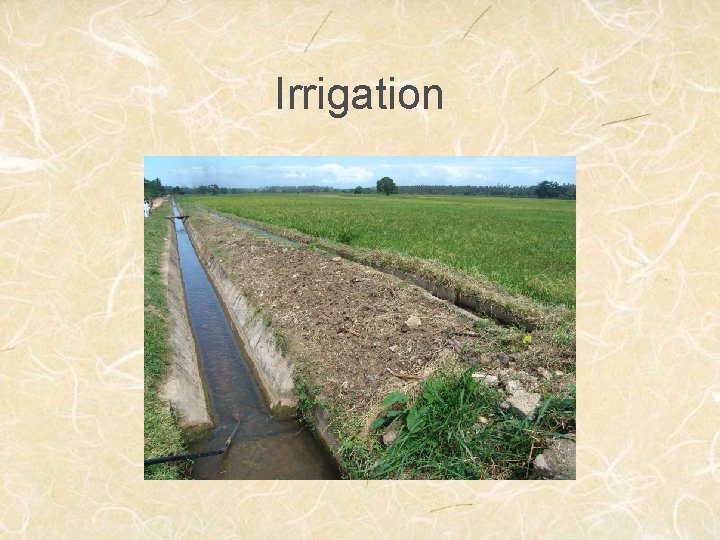 Irrigation 