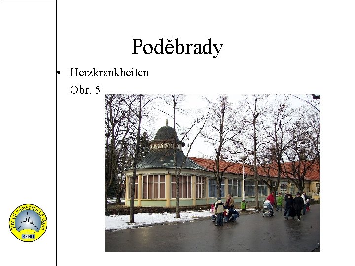 Poděbrady • Herzkrankheiten Obr. 5 