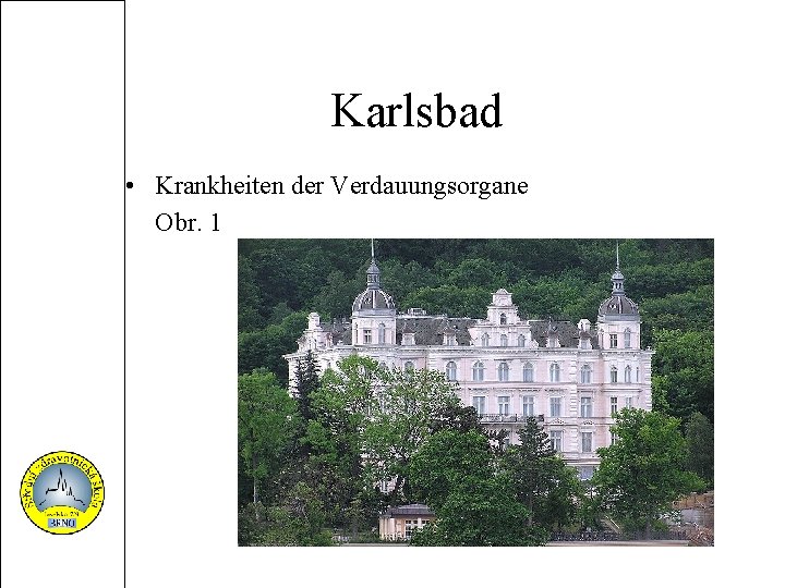 Karlsbad • Krankheiten der Verdauungsorgane Obr. 1 