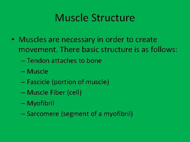 Muscle Structure • Muscles are necessary in order to create movement. There basic structure