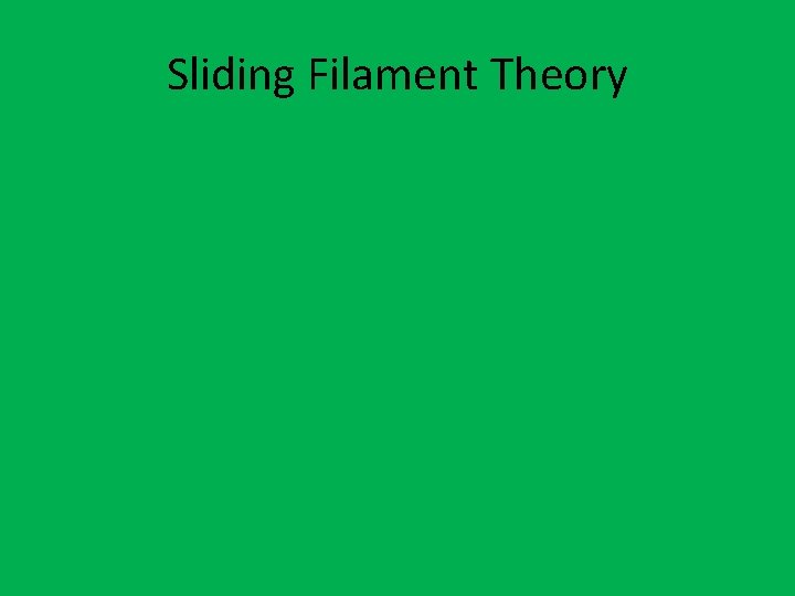 Sliding Filament Theory 