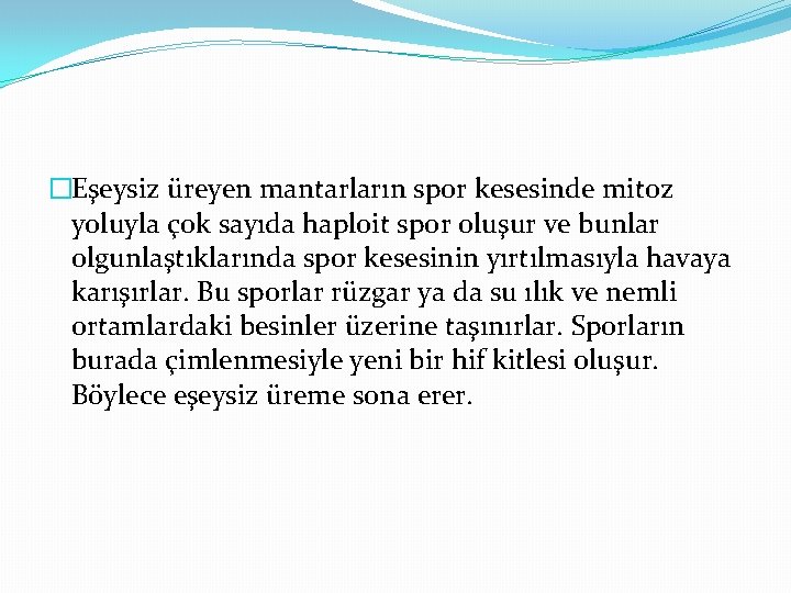 �Eşeysiz üreyen mantarların spor kesesinde mitoz yoluyla çok sayıda haploit spor oluşur ve bunlar