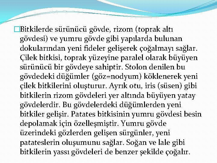 �Bitkilerde sürünücü gövde, rizom (toprak altı gövdesi) ve yumru gövde gibi yapılarda bulunan dokularından