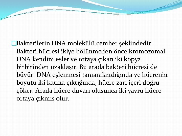 �Bakterilerin DNA molekülü çember şeklindedir. Bakteri hücresi ikiye bölünmeden önce kromozomal DNA kendini eşler