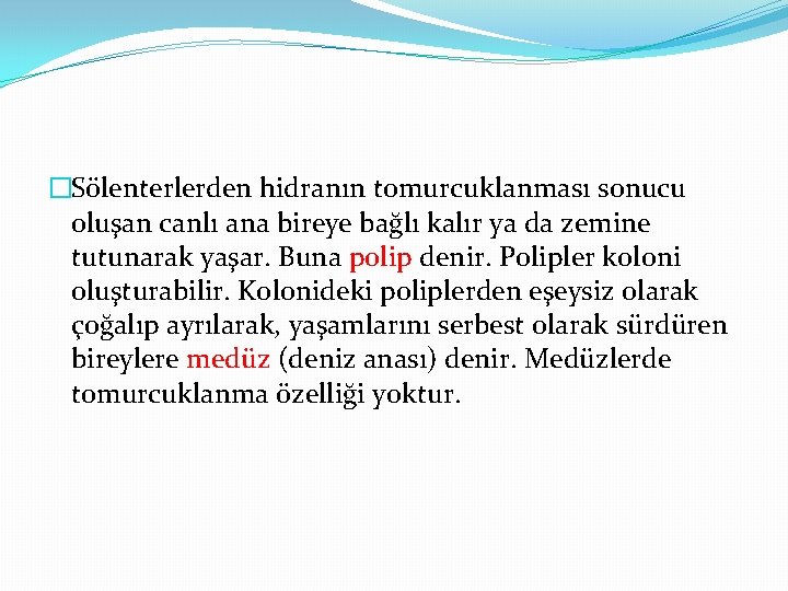 �Sölenterlerden hidranın tomurcuklanması sonucu oluşan canlı ana bireye bağlı kalır ya da zemine tutunarak