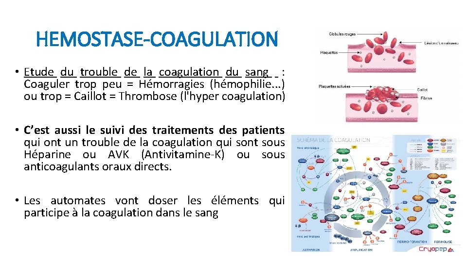 HEMOSTASE-COAGULATION • Etude du trouble de la coagulation du sang : Coaguler trop peu