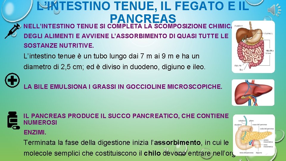 L’INTESTINO TENUE, IL FEGATO E IL PANCREAS NELL’INTESTINO TENUE SI COMPLETA LA SCOMPOSIZIONE CHIMICA