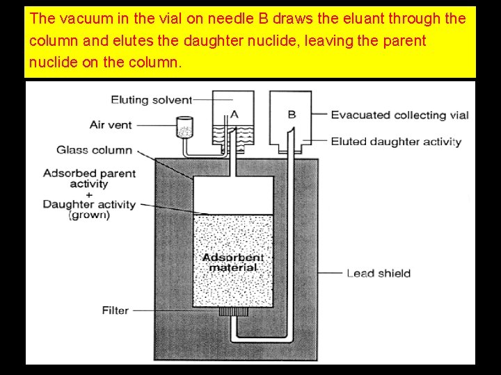 The vacuum in the vial on needle B draws the eluant through the column