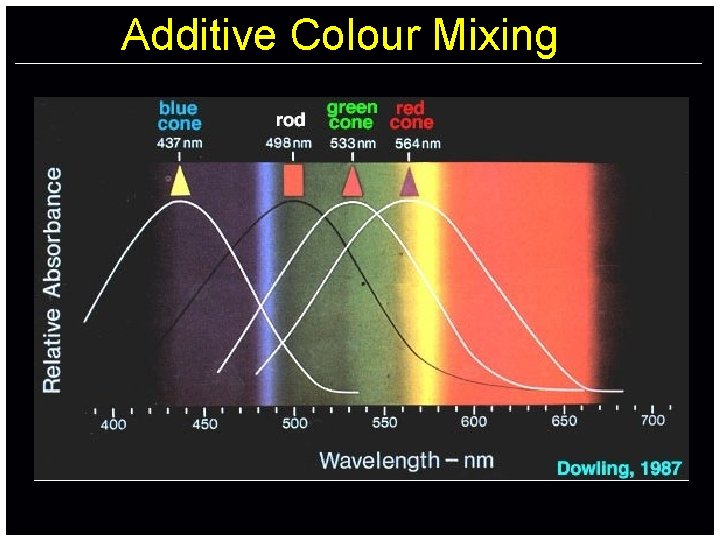 Additive Colour Mixing 