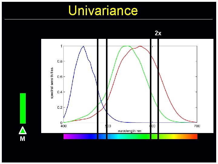 Univariance 2 x M 