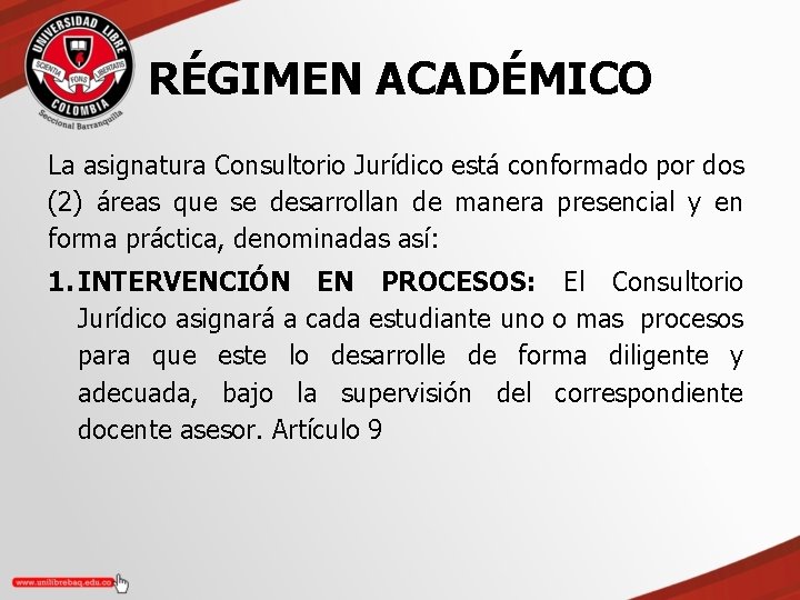 RÉGIMEN ACADÉMICO La asignatura Consultorio Jurídico está conformado por dos (2) áreas que se