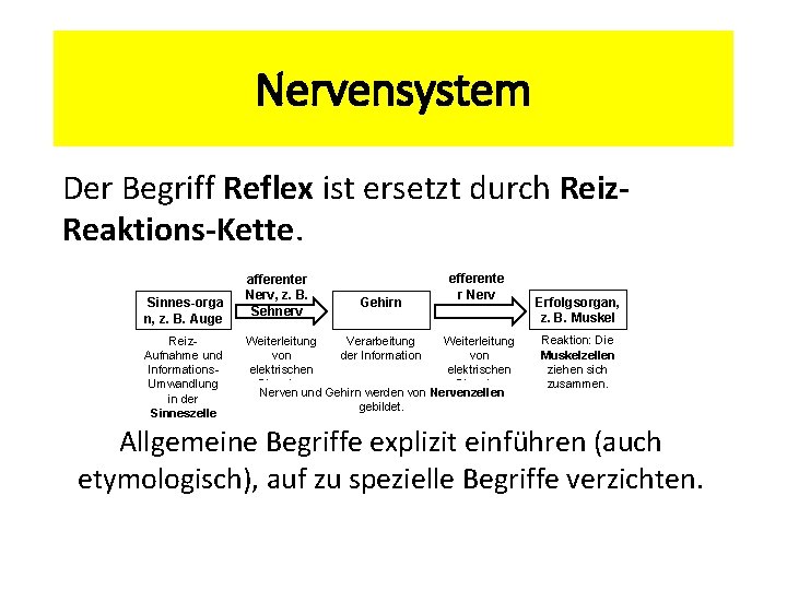 Nervensystem Der Begriff Reflex ist ersetzt durch Reiz. Reaktions-Kette. Sinnes orga n, z. B.