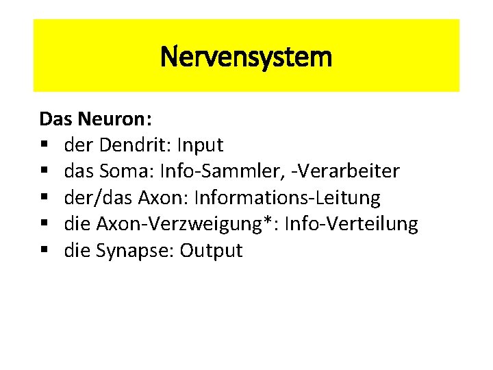 Nervensystem Das Neuron: § der Dendrit: Input § das Soma: Info-Sammler, -Verarbeiter § der/das