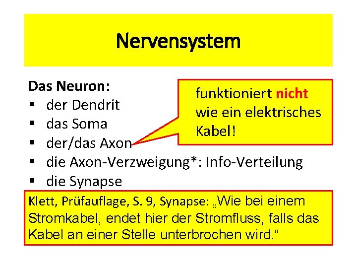 Nervensystem Das Neuron: funktioniert nicht § der Dendrit wie ein elektrisches § das Soma