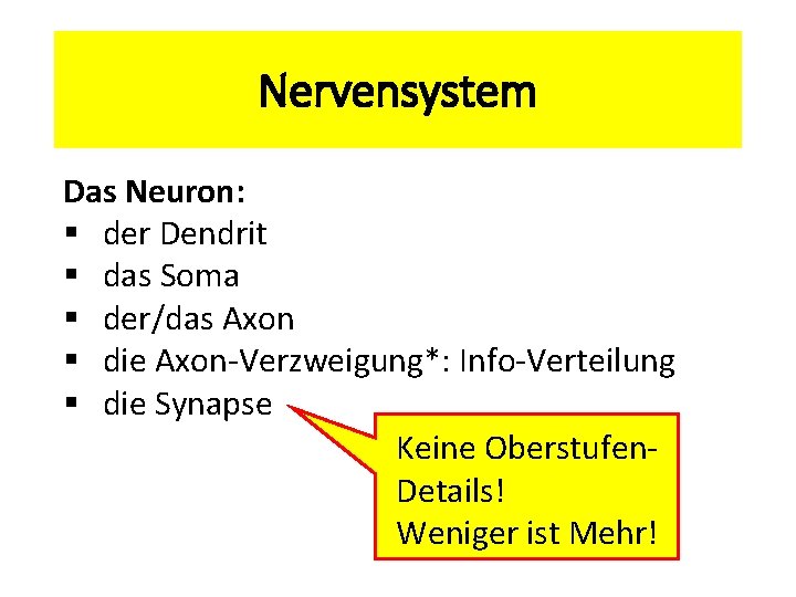 Nervensystem Das Neuron: § der Dendrit § das Soma § der/das Axon § die