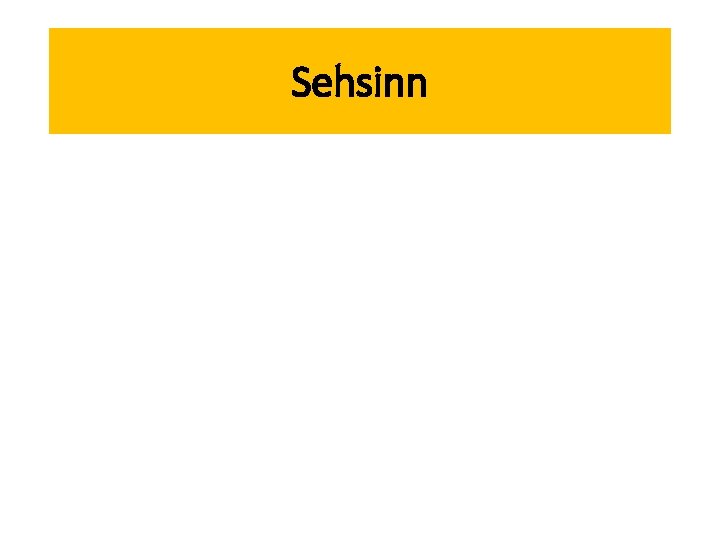 Sehsinn 