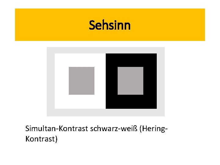 Sehsinn Simultan-Kontrast schwarz-weiß (Hering. Kontrast) 