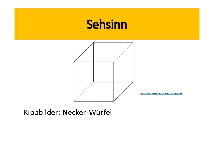 Sehsinn https: //www. spektrum. de/lexikon/psychologie/necker-wuerfel/10374 Kippbilder: Necker-Würfel 