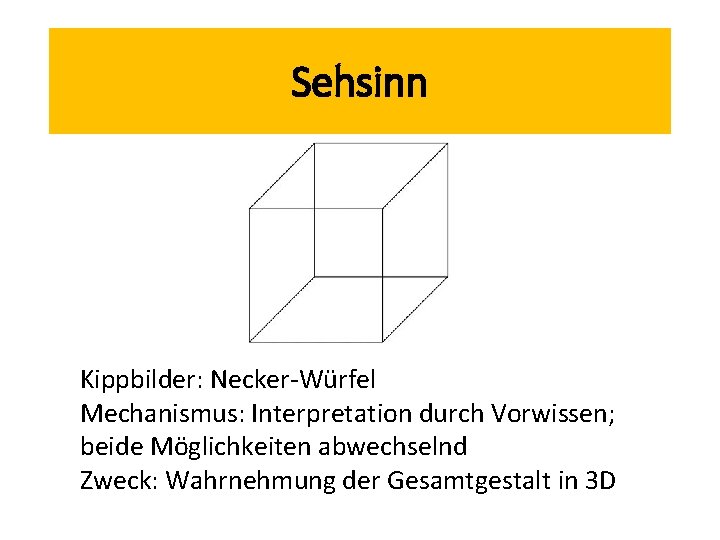 Sehsinn Kippbilder: Necker-Würfel Mechanismus: Interpretation durch Vorwissen; beide Möglichkeiten abwechselnd Zweck: Wahrnehmung der Gesamtgestalt