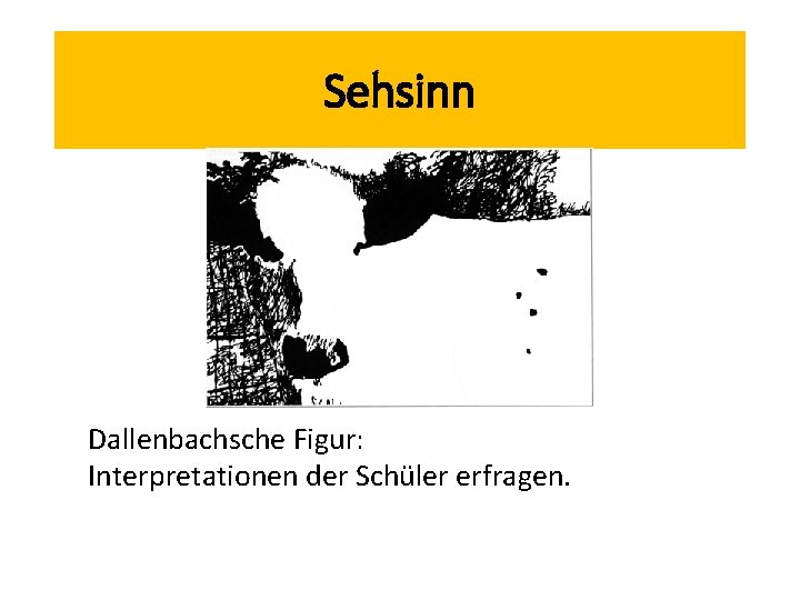 Sehsinn Dallenbachsche Figur: Interpretationen der Schüler erfragen. 