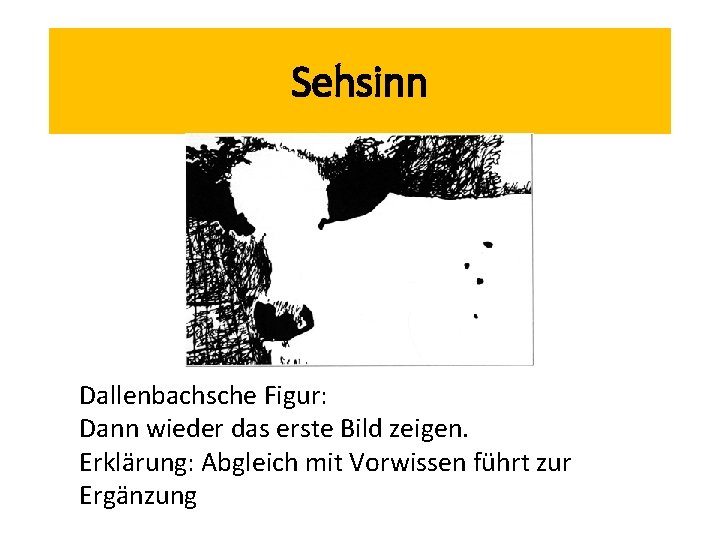 Sehsinn Dallenbachsche Figur: Dann wieder das erste Bild zeigen. Erklärung: Abgleich mit Vorwissen führt