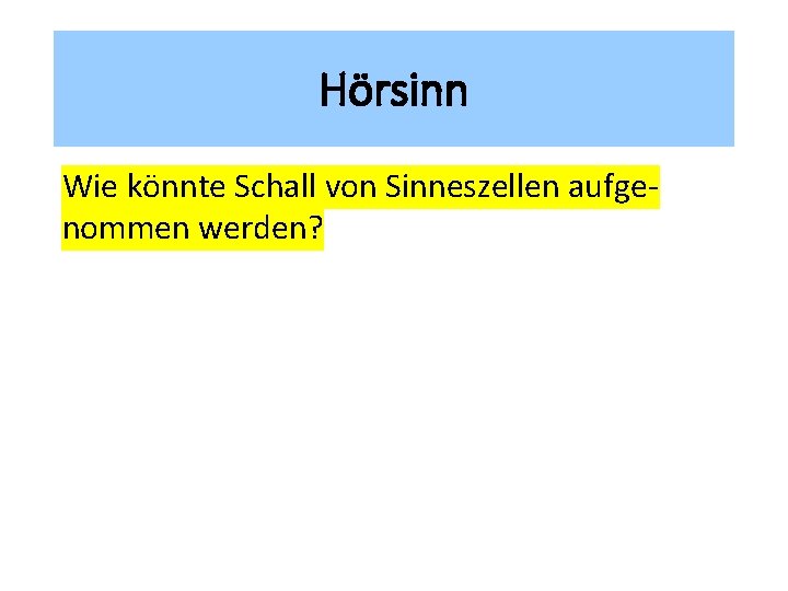 Hörsinn Wie könnte Schall von Sinneszellen aufgenommen werden? 