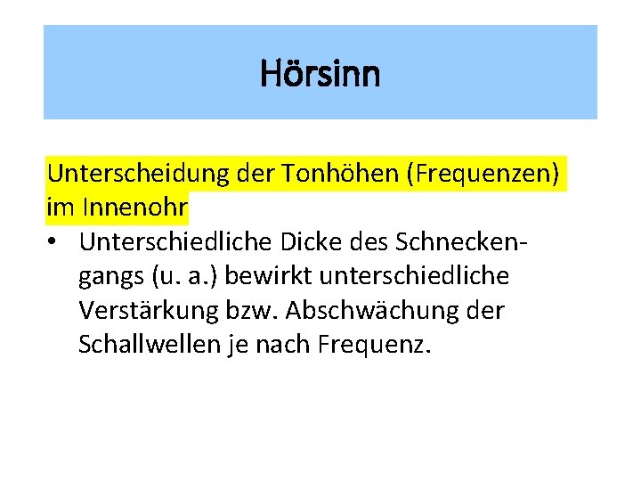 Hörsinn Unterscheidung der Tonhöhen (Frequenzen) im Innenohr • Unterschiedliche Dicke des Schneckengangs (u. a.