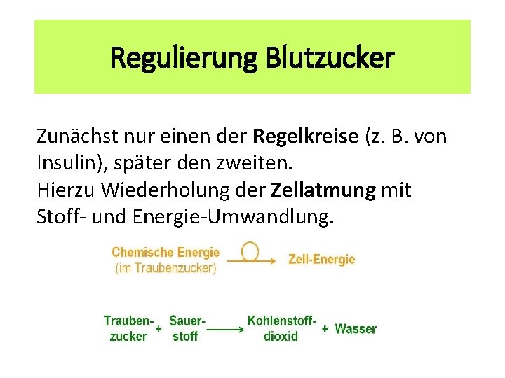 Regulierung Blutzucker Zunächst nur einen der Regelkreise (z. B. von Insulin), später den zweiten.