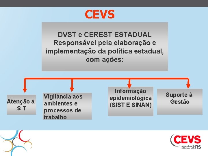 CEVS DVST e CEREST ESTADUAL Responsável pela elaboração e implementação da política estadual, com