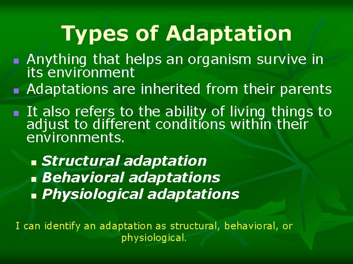 Types of Adaptation n Anything that helps an organism survive in its environment Adaptations
