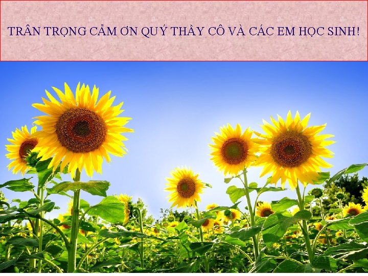 TR N TRỌNG CẢM ƠN QUÝ THẦY CÔ VÀ CÁC EM HỌC SINH! 