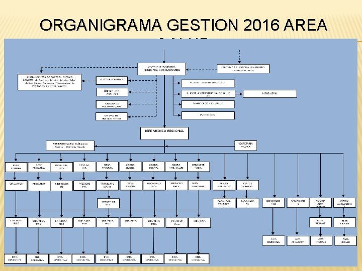 ORGANIGRAMA GESTION 2016 AREA SALUD 