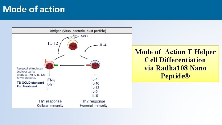 Mode of action Mode of Action T Helper Cell Differentiation via Radha 108 Nano