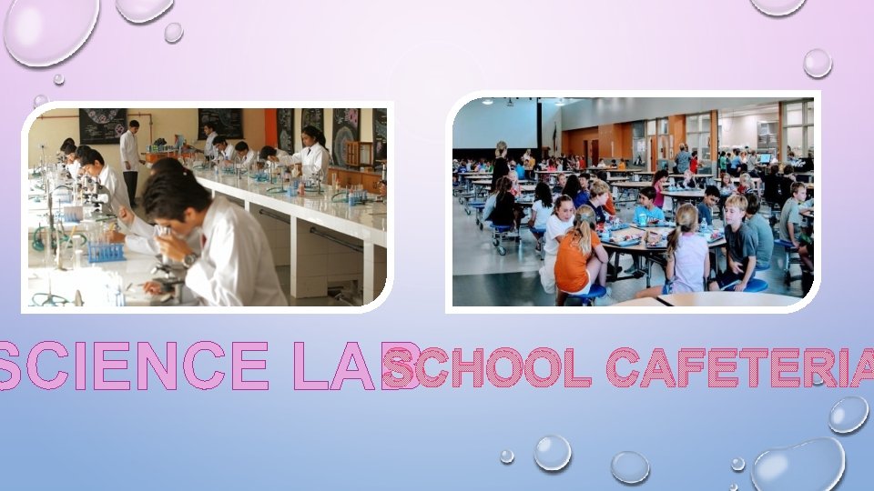 SCHOOL CAFETERIA SCIENCE LAB 