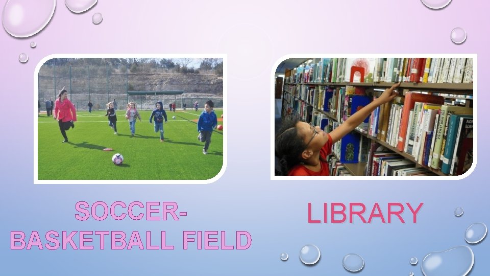 SOCCERBASKETBALL FIELD LIBRARY 